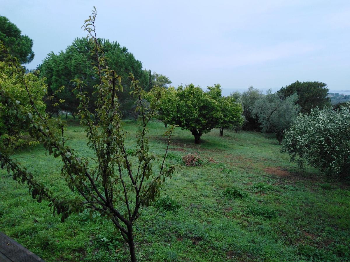 Villa Aliki Πετροχώρι Εξωτερικό φωτογραφία