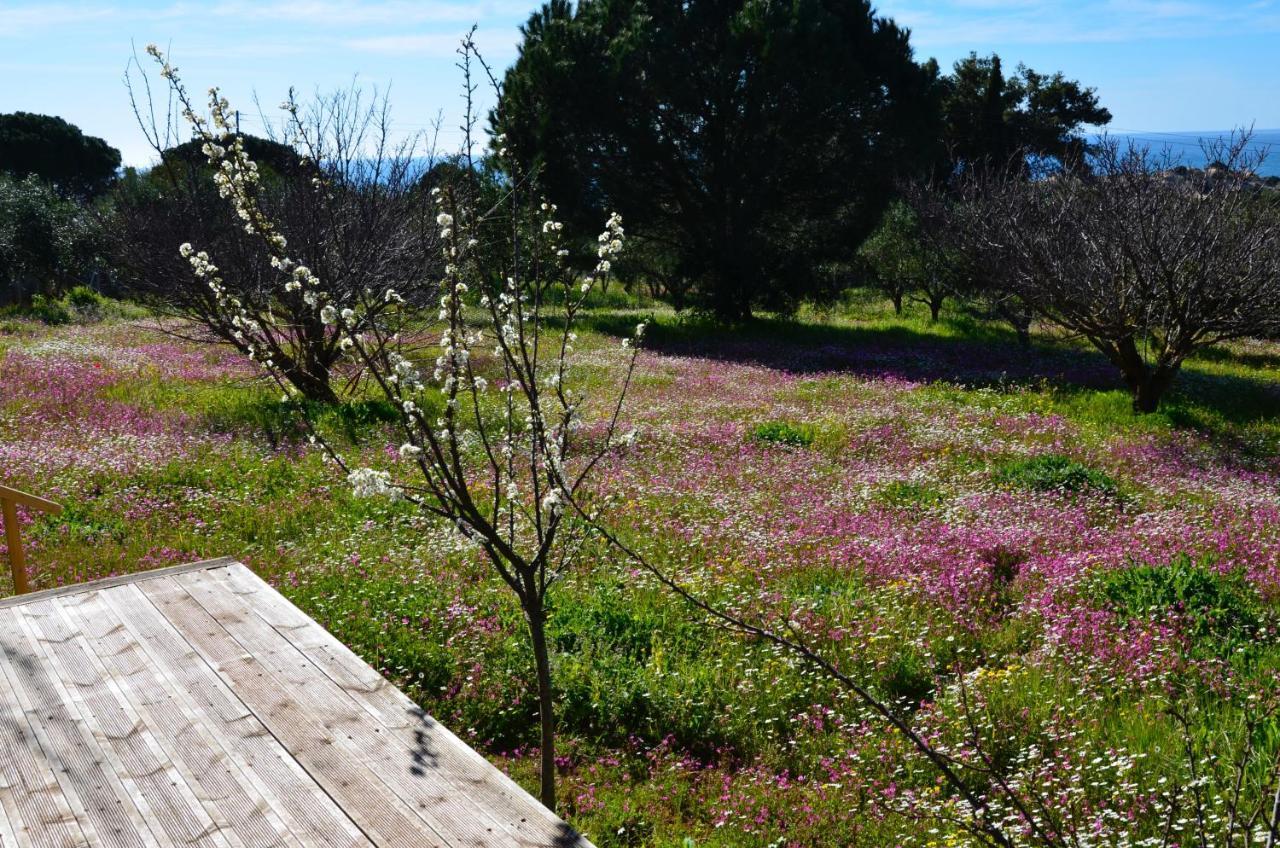 Villa Aliki Πετροχώρι Εξωτερικό φωτογραφία